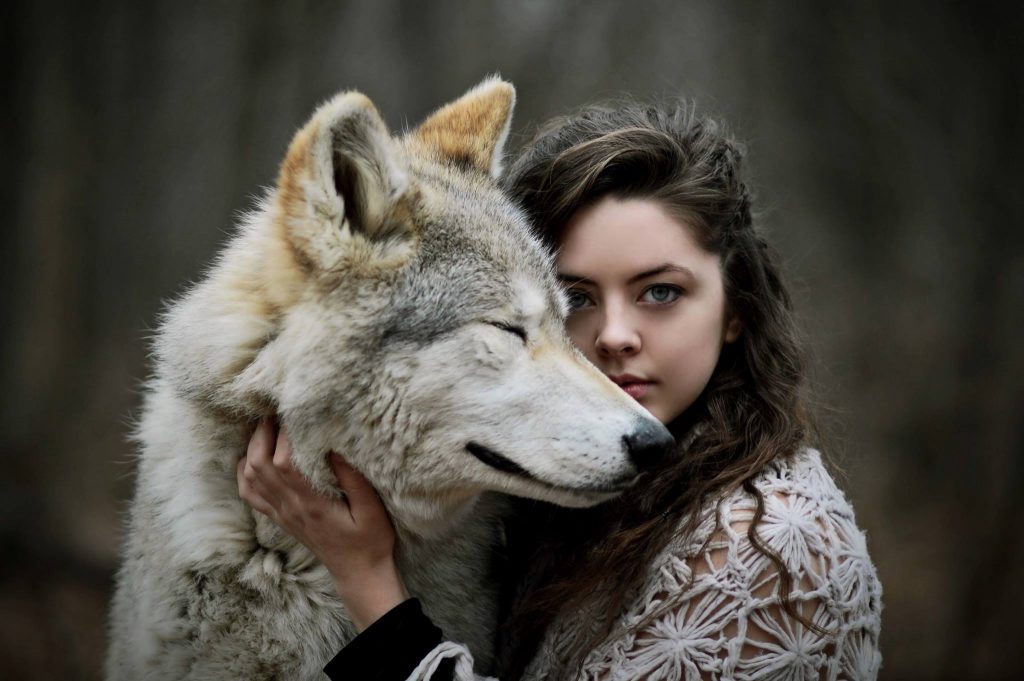 Dance with wolves, literally, at Columbus photoshoot - 614NOW