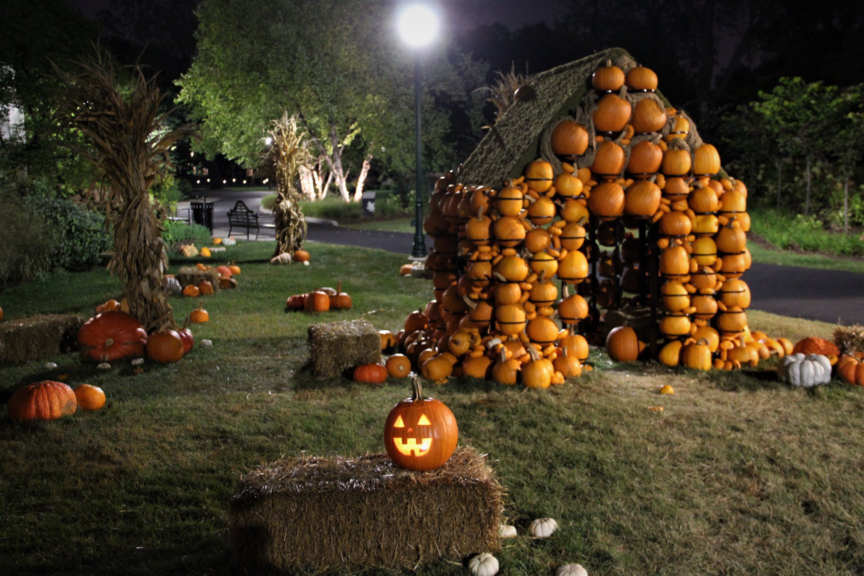 Franklin Park Conservatory’s new Pumpkin Nights will light up your fall