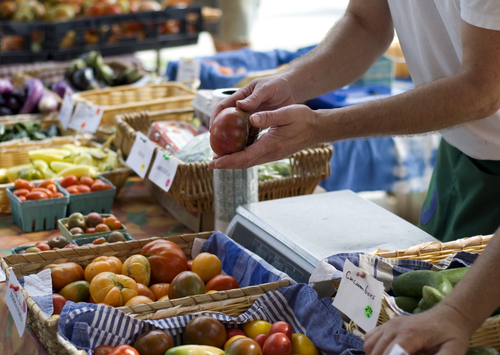 S market. Фермерские рынки стоковые. Показ продуктов. Картинки s Market. Local Organic food.