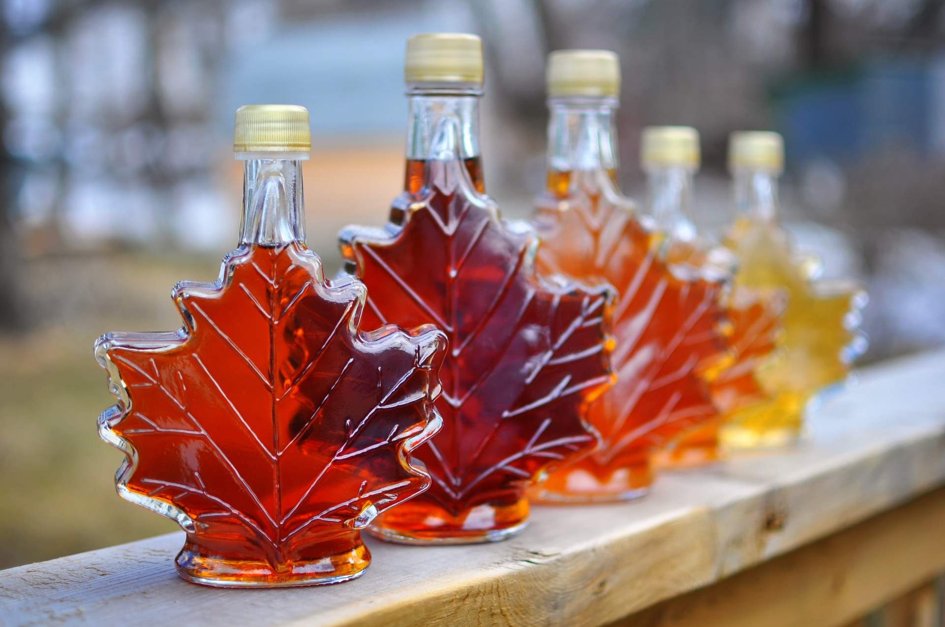 It’s syrup season Here’s our list of the musttry maple syrup